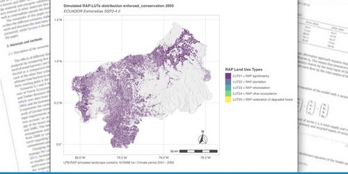 Scenario RAP (Restoration Area Potentials) "potential FLR (forest landscape restoration)" landscape configuration in 2050